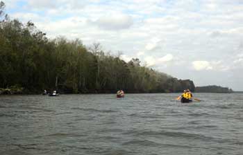 paddling