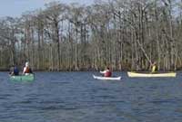 Paddlers