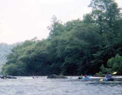 3 Chutes