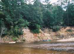 View of Group on Black Creek