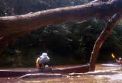 Bouie Creek