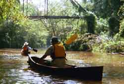 Bouie Creek